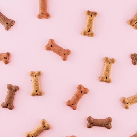 Durable Rubber Chew Bone