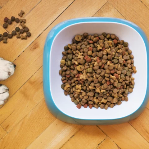 Natural Chicken Dog Treats 16 oz