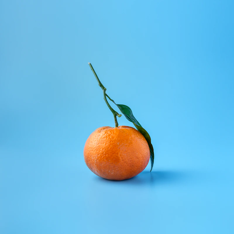 Navel Orange Bag 4 lb — Front view