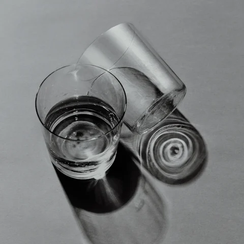 Stemless Wine Glasses (4)